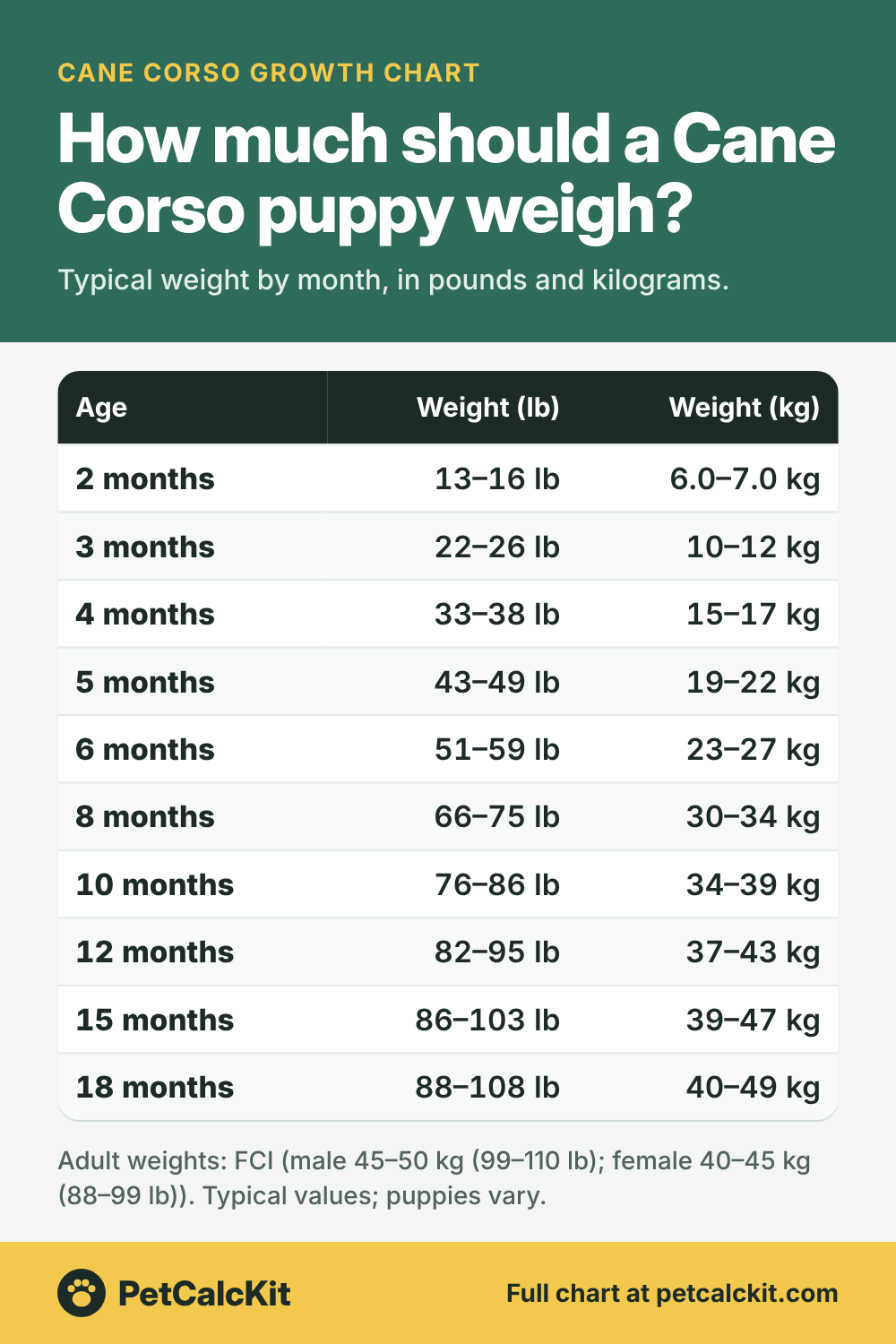 Cane Corso puppy growth chart: typical weight by month