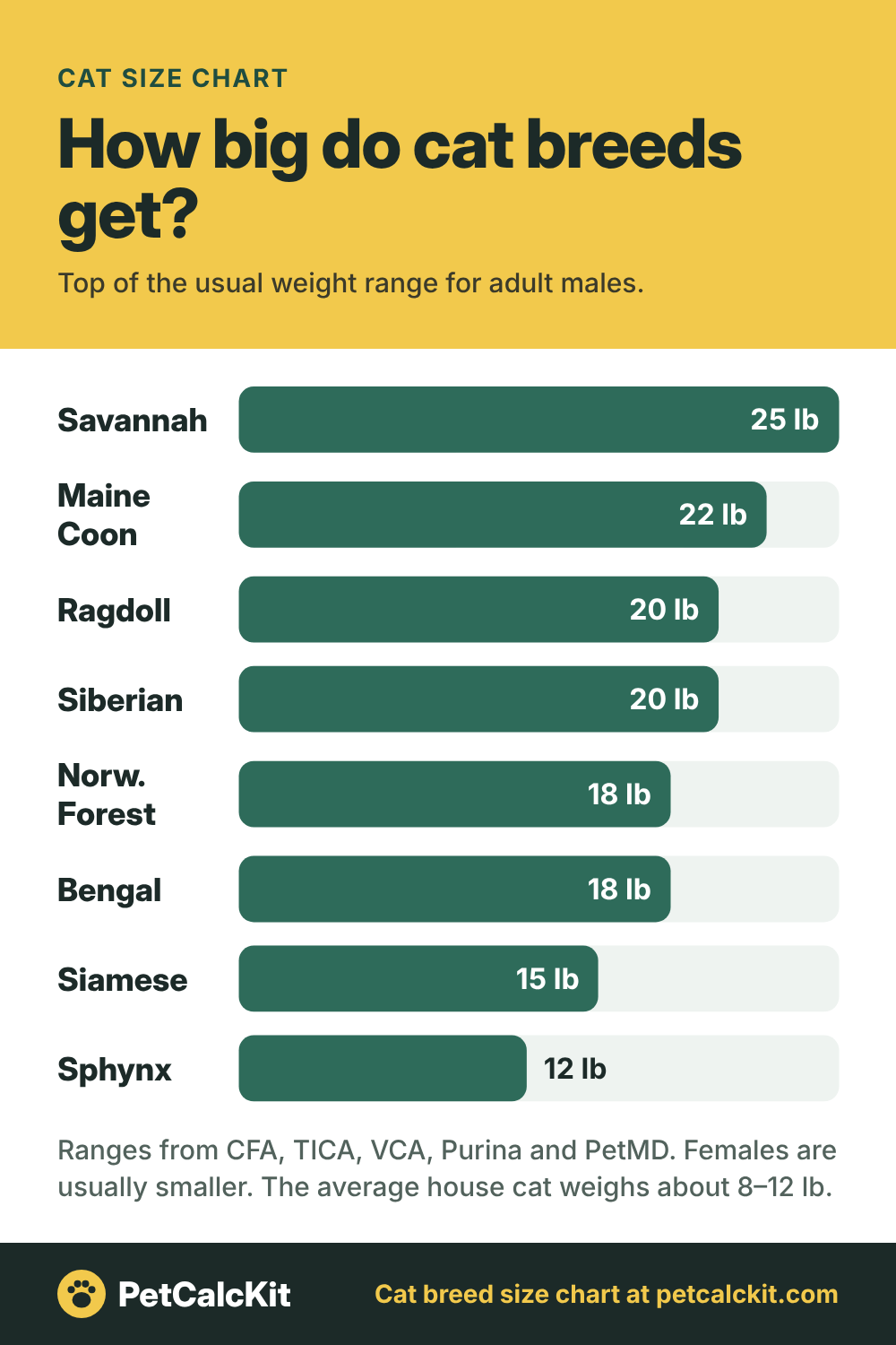 Cat Size Chart: How Big Do Cat Breeds Get?