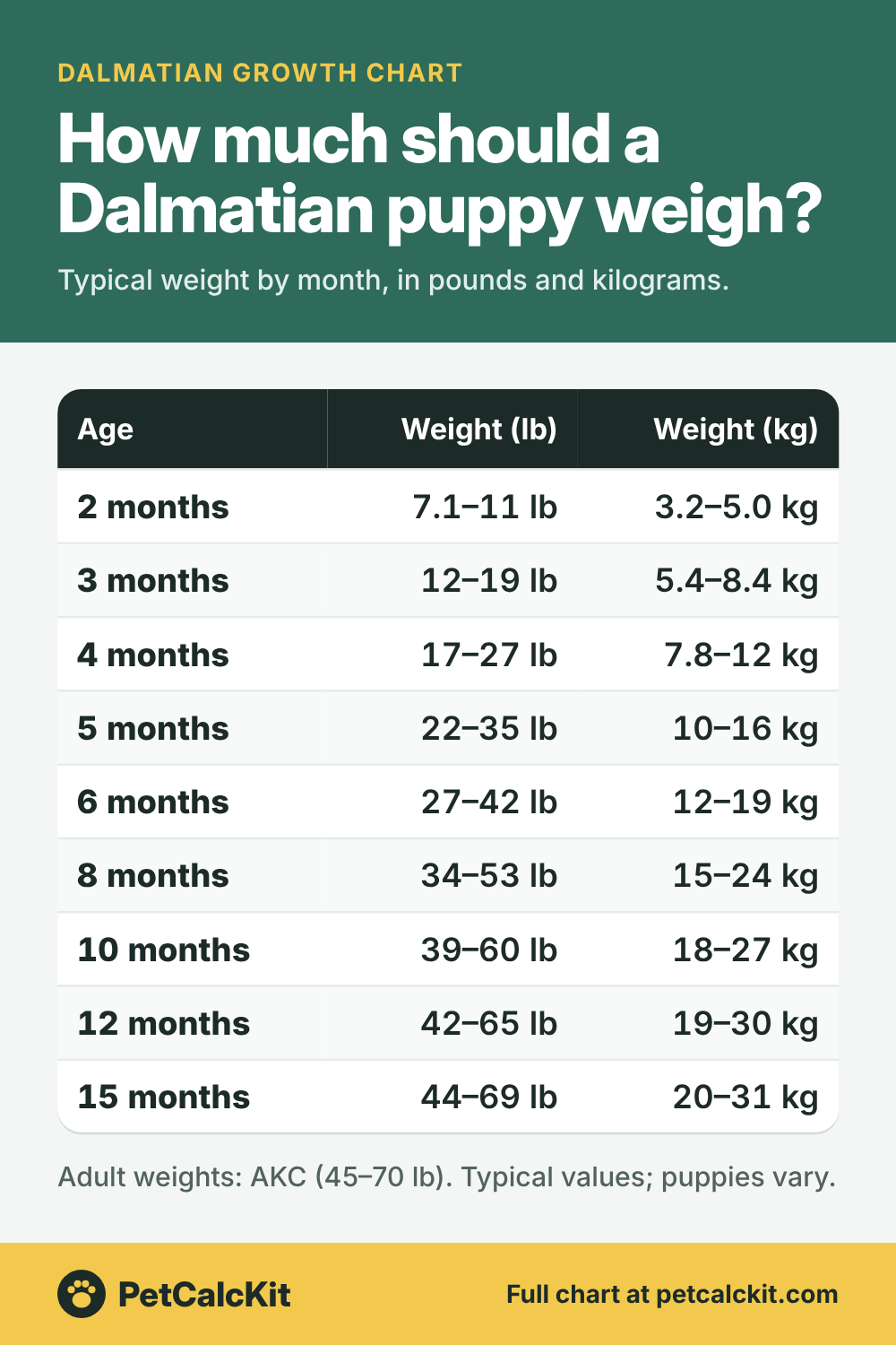 Dalmatian puppy growth chart: typical weight by month