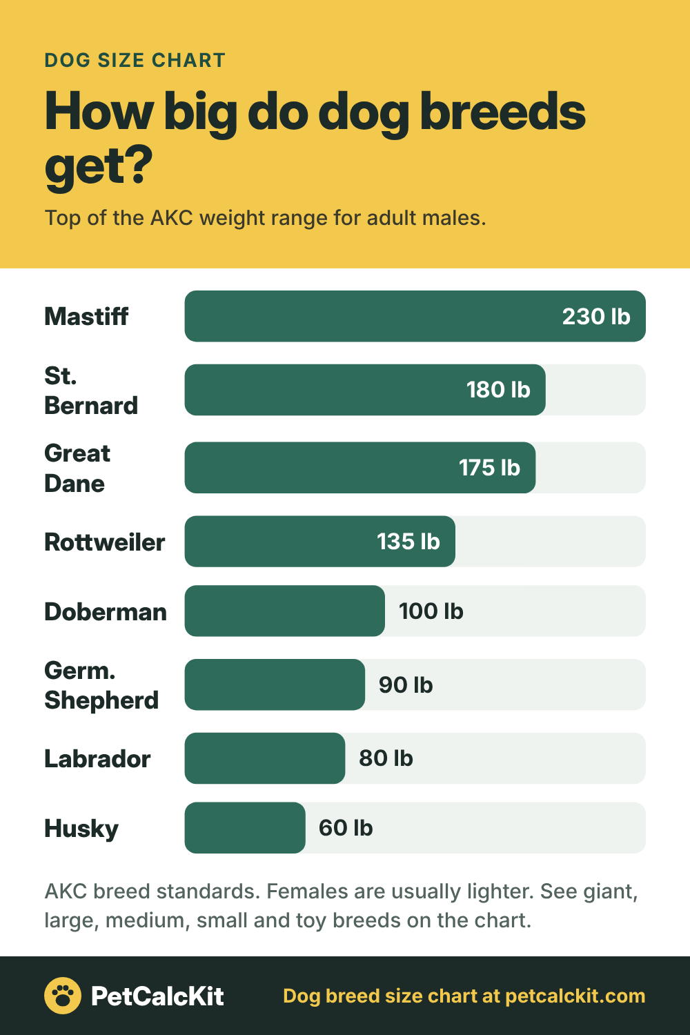 Dog Size Chart: How Big Do Dog Breeds Get?