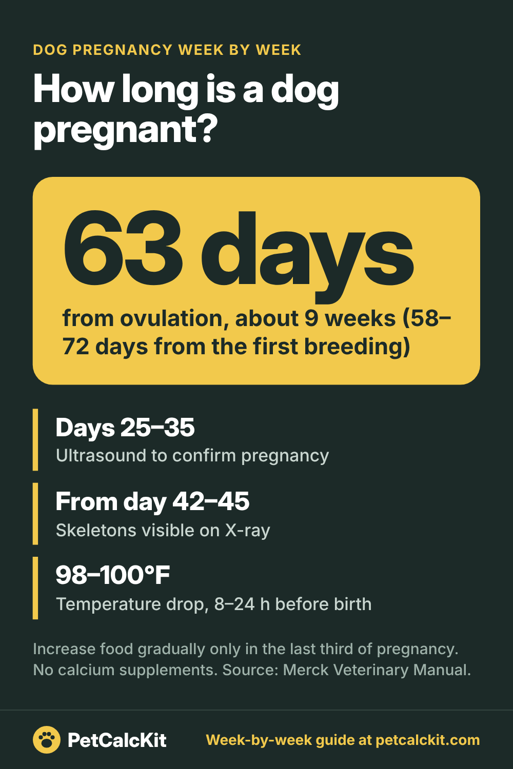 Dog Pregnancy Week by Week: Timeline, Tests and Signs