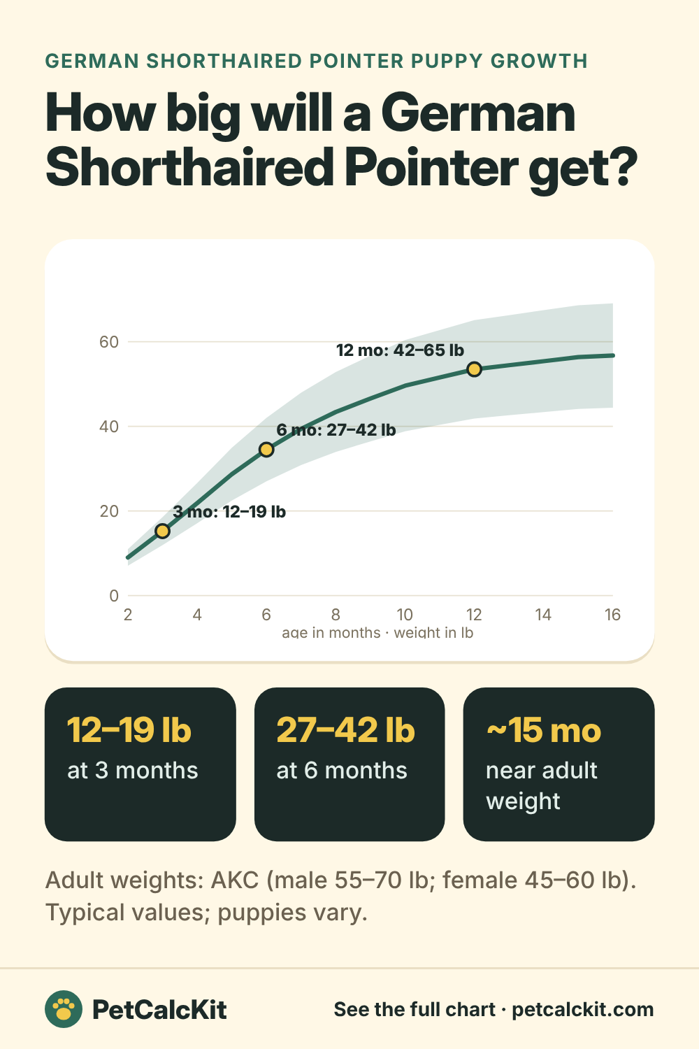 German Shorthaired Pointer puppy growth chart: typical weight by month