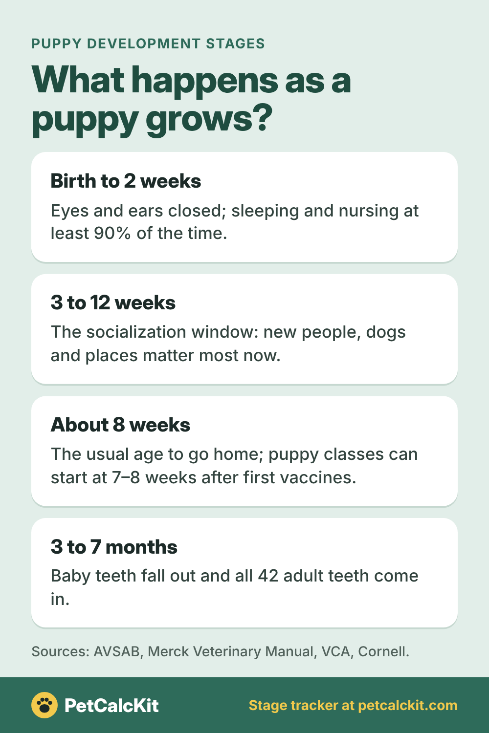 Puppy Development Stages Week by Week