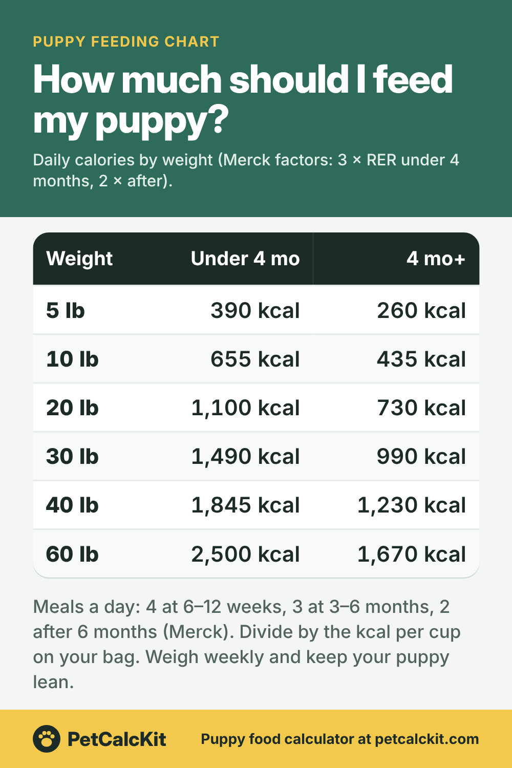 Puppy Feeding Chart: How Much to Feed a Puppy by Weight