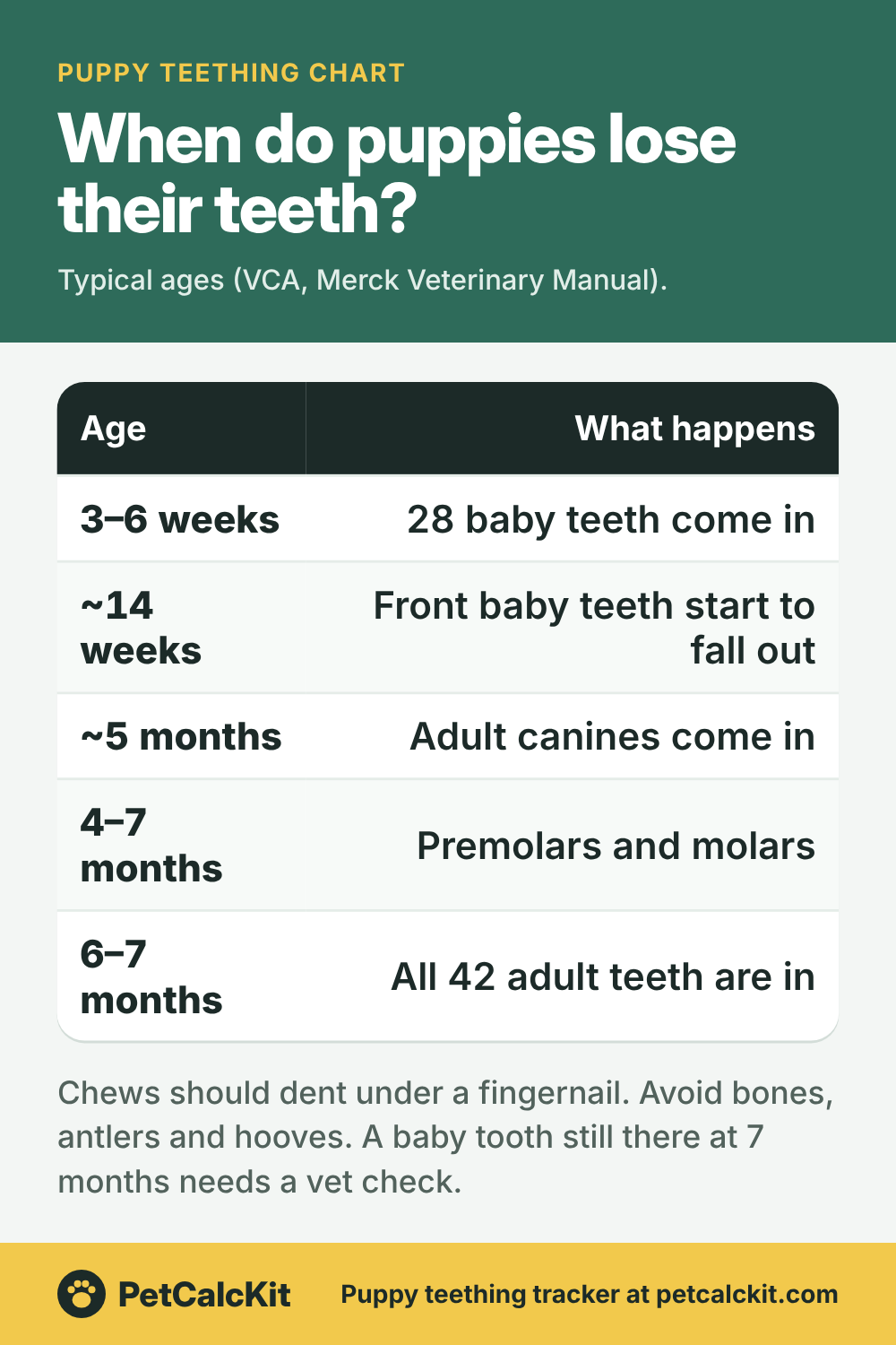 Puppy Teething Chart: When Do Puppies Lose Their Teeth?